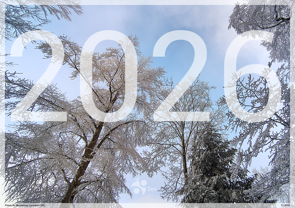 Nos meilleurs voeux pour 2026!